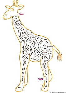 Giraffe